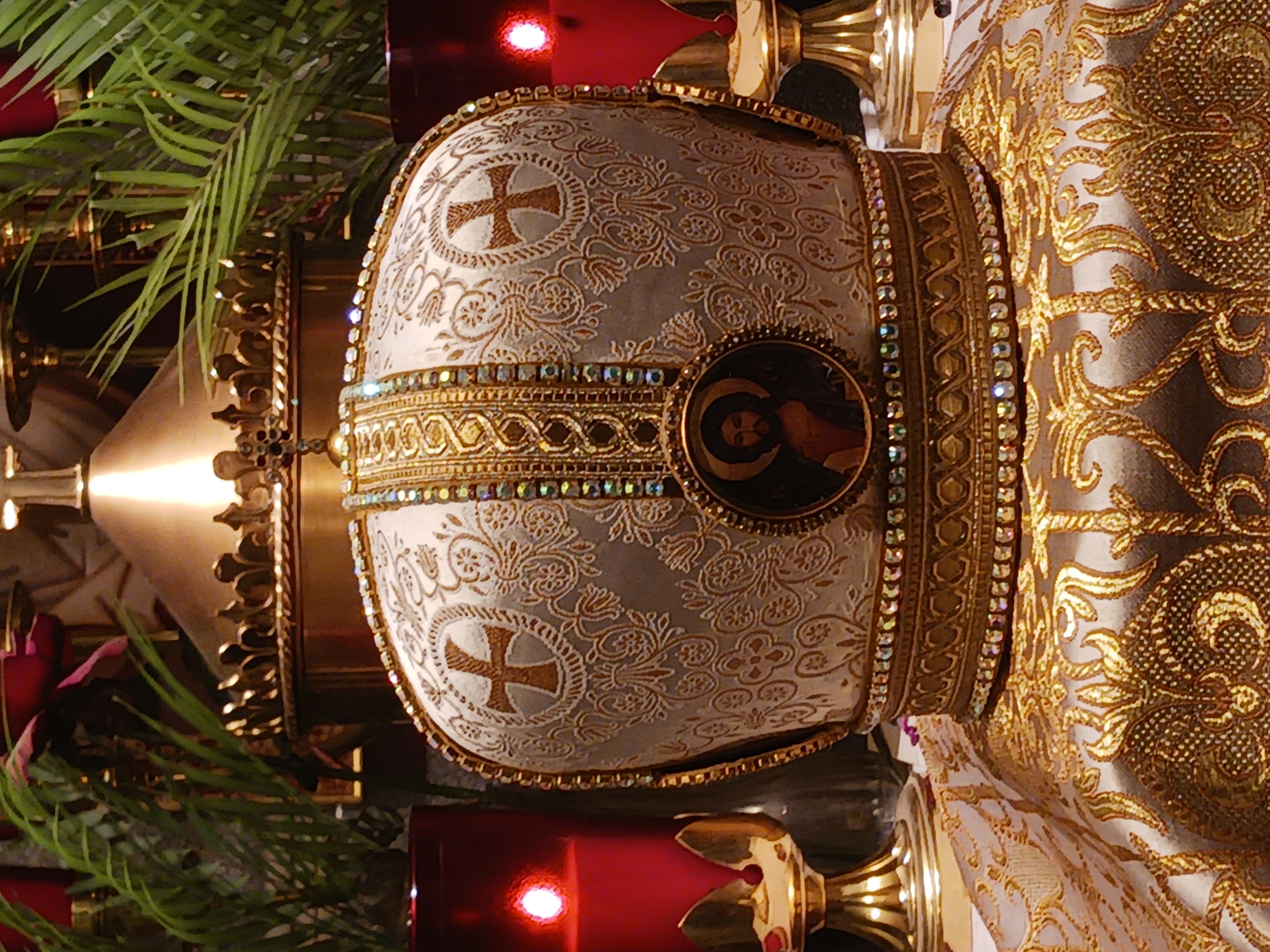 Eastern Mitre